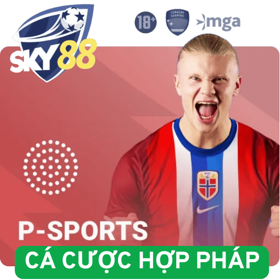 Nhà Cái Cá Cược Hợp Pháp Sky88