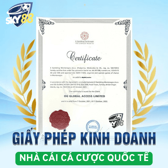 Giấy phép kinh doanh hợp pháp